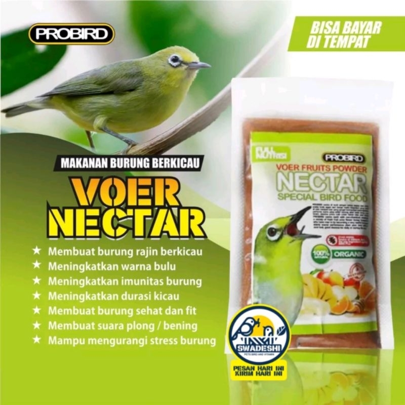 VOER NECTAR PROBIRD PAKAN LEGENDARIS KICAU MANIA MAKANAN KHUSUS BURUNG PLECI MAKANAN PENGGACOR BURUN