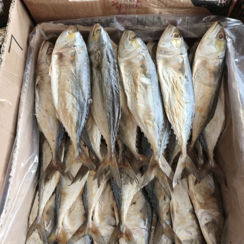 

IKAN PEDA ASLI KUALITAS SUPER