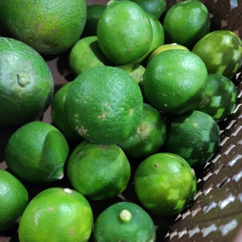 

Jeruk Nipis Fresh 1kg Murah