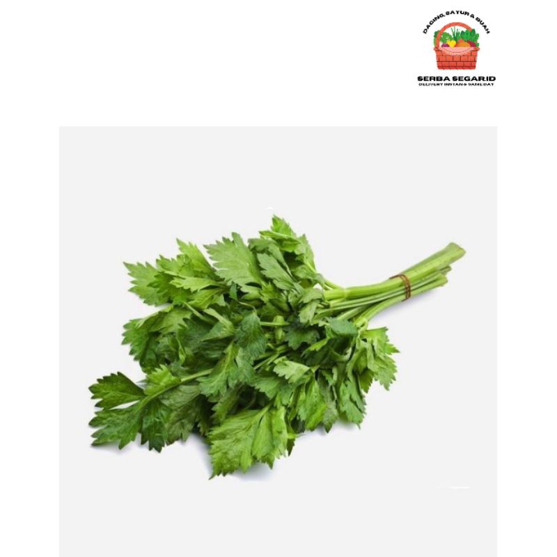 

Daun Seledri 1 Ikat