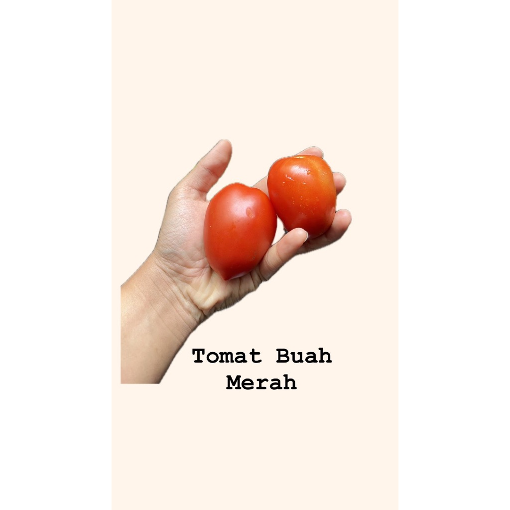 

Tomat Lokal Fresh 500g- Tangan Hejo