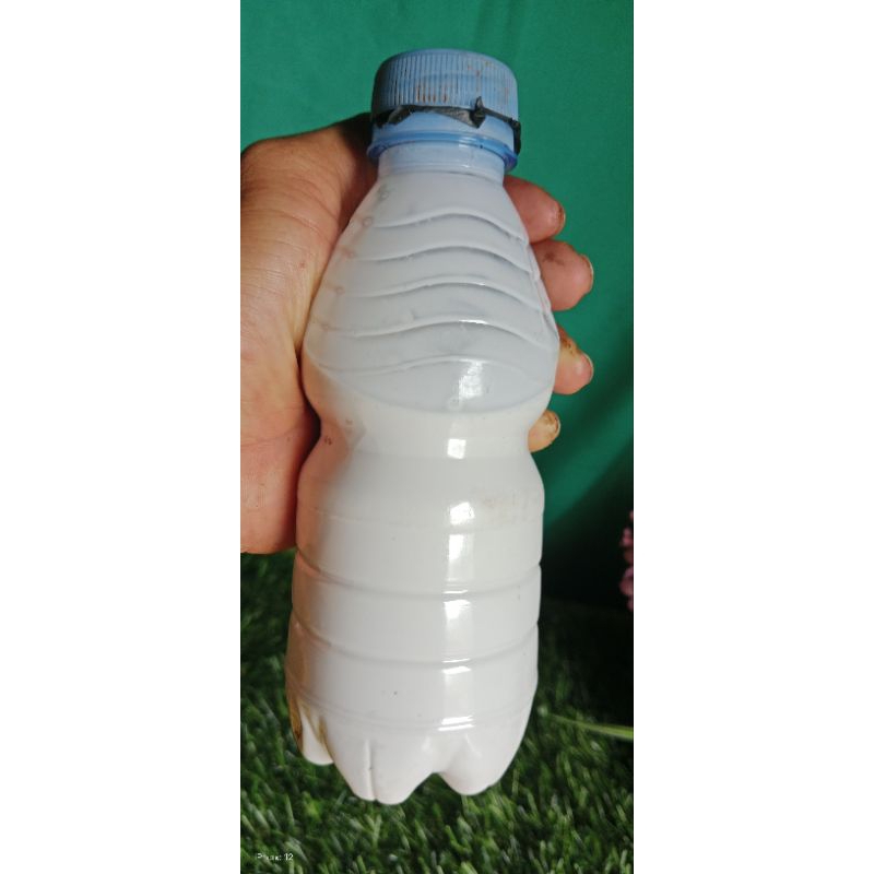 Getah Karet/Latex mentah kemasan 300mil