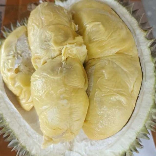 

BUNGSU