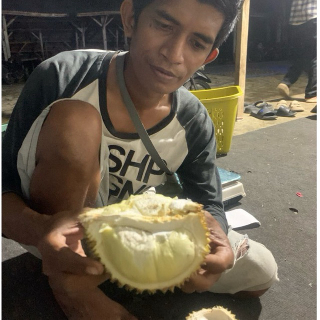 

Durian Petruk Lumajang