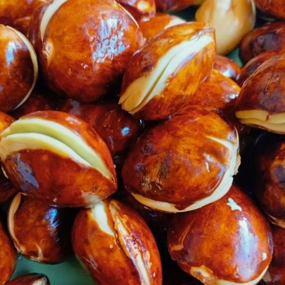 

JENGKOL TUA di pohon fresh tua pulen @1kg baru petik