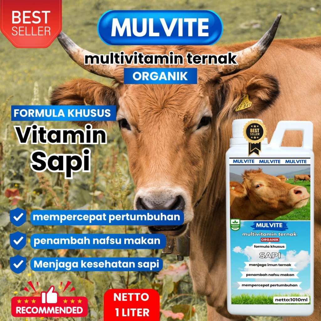 MULVITE Vitamin Probiotik Khusus Sapi, Vitamin Ternak Organik Penggemuk Sapi Meningkatkan Nafsu Maka