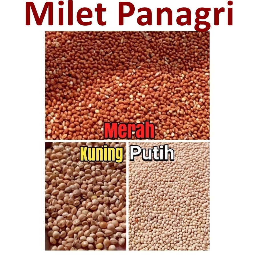 Milet 25KG Putih Kuning Merah milput Pakan Burung KONSLET dan GACOR Pakan burung lovebird parkit ken