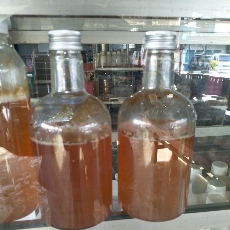 

madutrigona