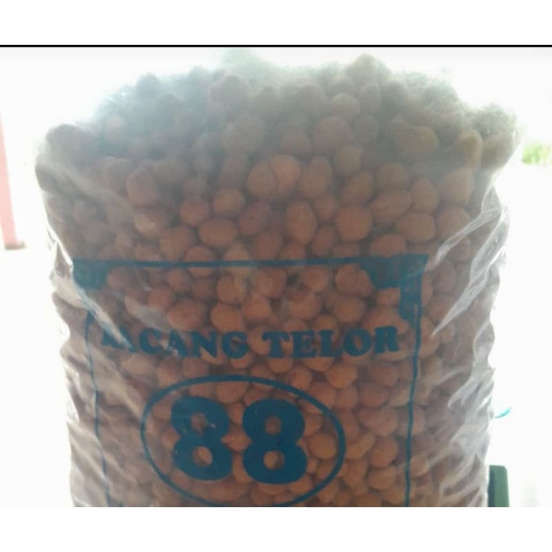 

KACANG TELUR KEMASAN 1/2kg