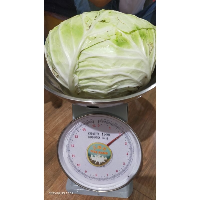 

sayur Kol segar 250gr