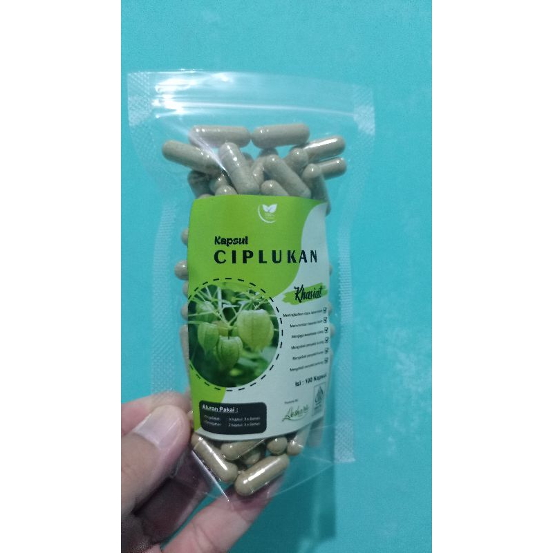 

kapsul ciplukan murni isi 100
