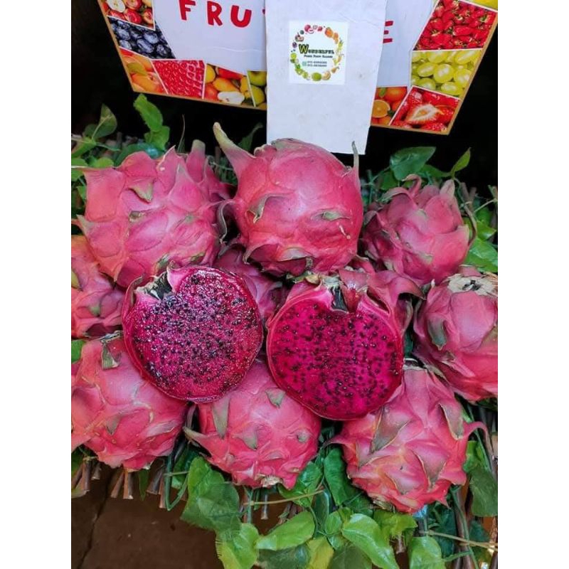 

BUAH NAGA MERAH 1KG FRESH