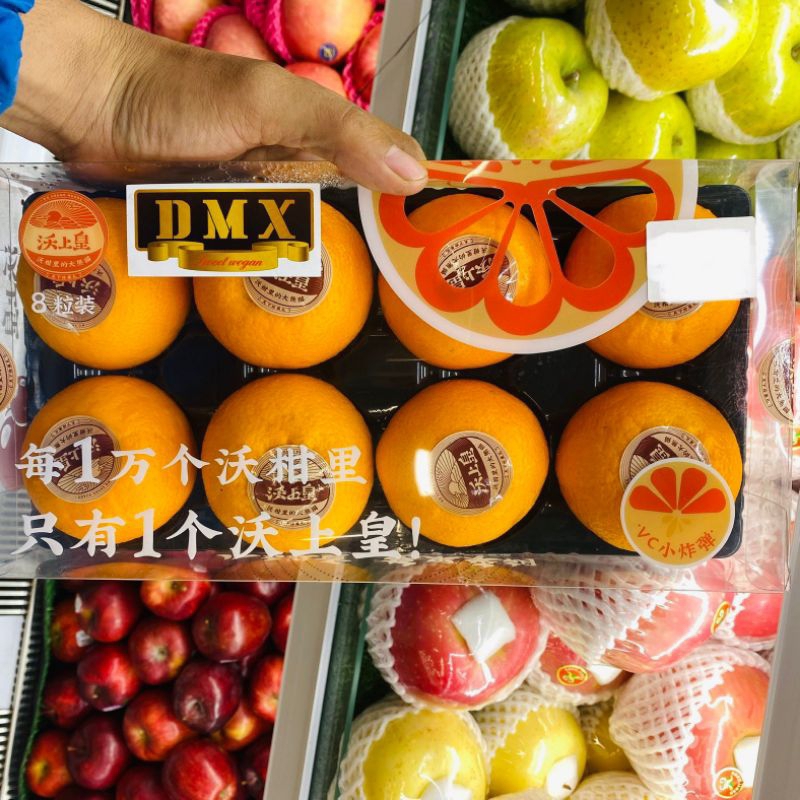 

Buah jeruk wokam high quality dmx super premium manis Gift pack