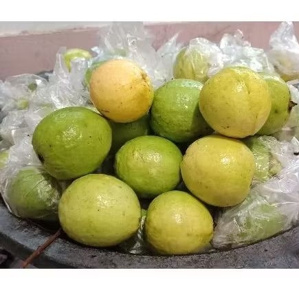 

jambu biji merah(buat jus) 5 kg langsung petani