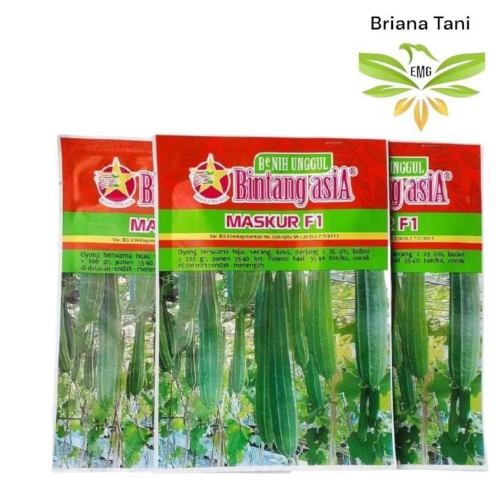 Maskur F1 10gr Benih Oyong Bintang Asia 100% Original Prima f1