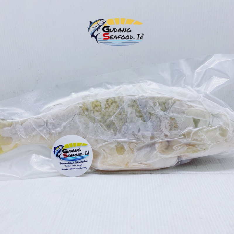 

Ikan kakap putih 300-500 gram / ekor