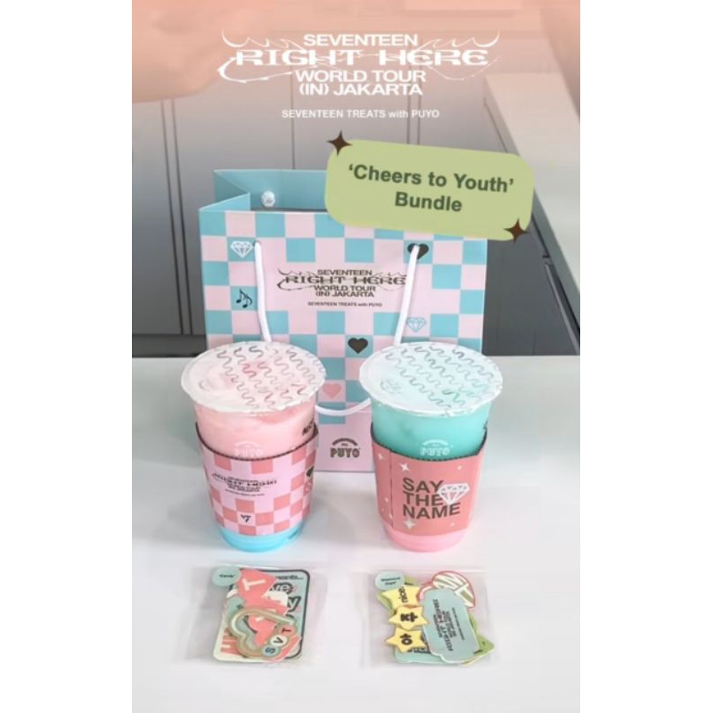 

SEVENTEEN treats X PUYO/ Stiker Dekorasi Asli Dari Disneyland