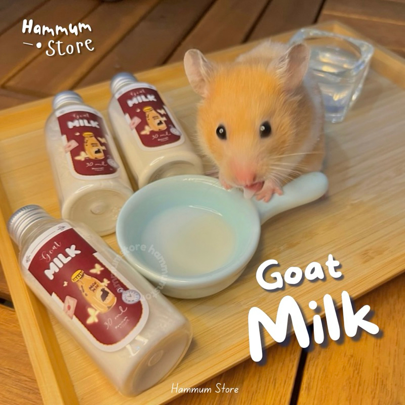 GOAT MILK | Susu Hamster Premium | Susu Kambing Hamster Anakan | Makanan Hamster | Vitamin Hamster |