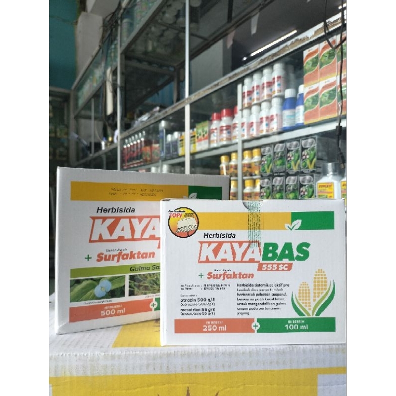Kayabas 555 SC Herbisida Sistemik Selektif Jagung + KAOS/TOPI