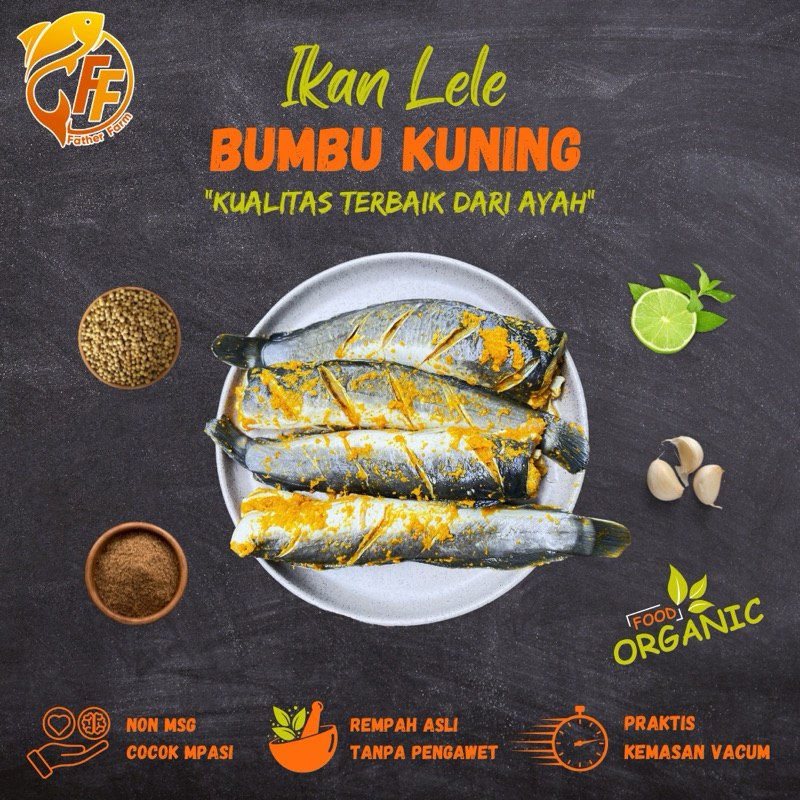 

Ikan Lele tanpa Kepala Organic Bumbu Kuning NON MSG