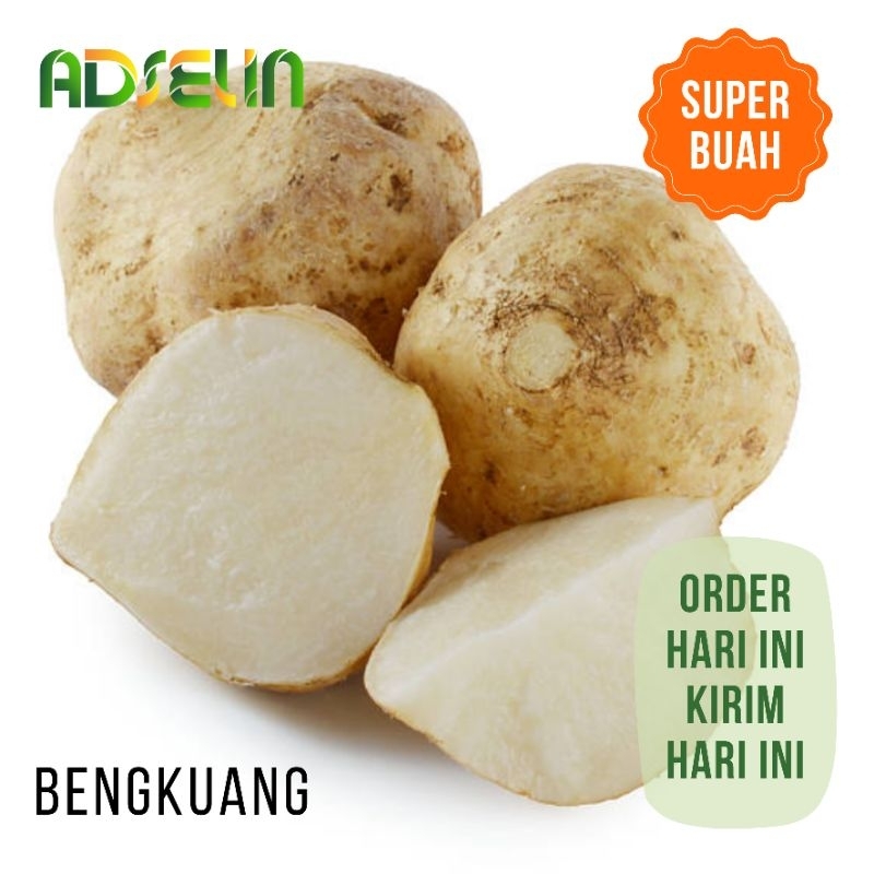 

Bengkuang Bangkoang 1 Kg Segar Buah Adselin