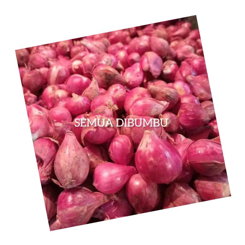 

Bawang merah/brambang 1kg super kering MURAH
