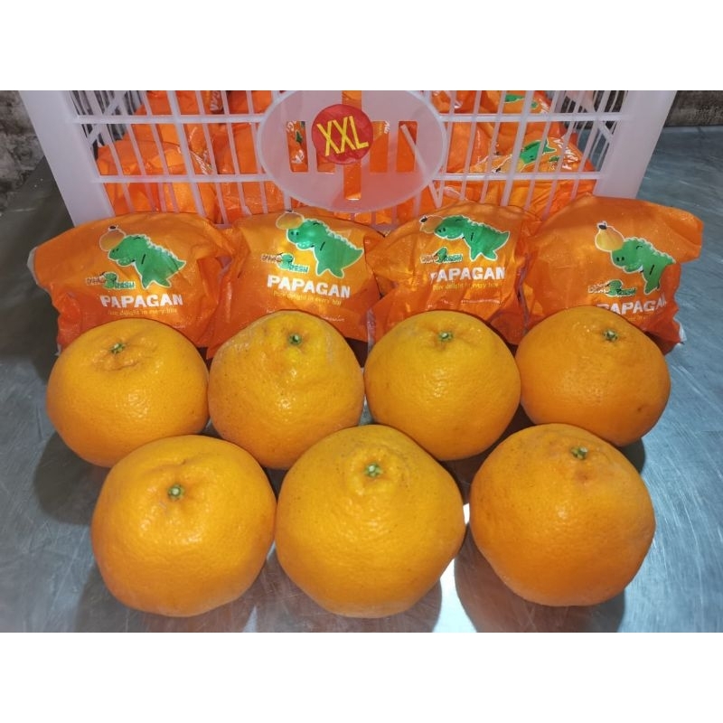 

jeruk papagan dino fresh/kg