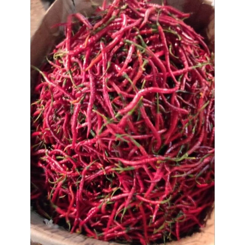

cabe merah keriting