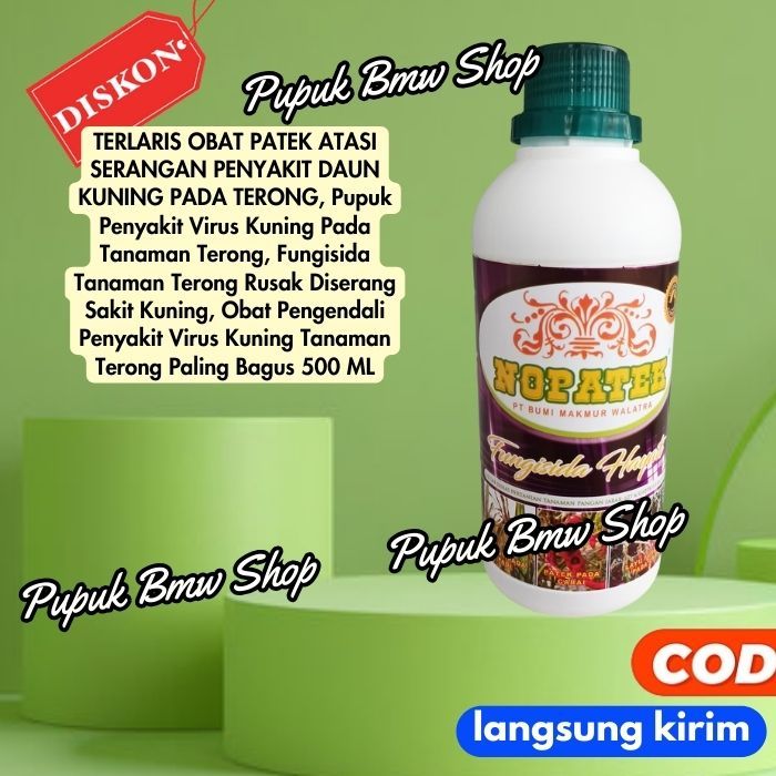 TERLARIS OBAT PATEK ATASI SERANGAN PENYAKIT DAUN KUNING PADA TERONG, Pupuk Penyakit Virus Kuning Pad