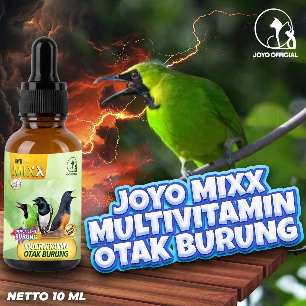VITAMIN OTAK | MULTIVITAMIN OTAK | VITAMIN  BURUNG CERDAS & PINTAR | DAYA INGAT BURUNG | MIXX MULTIV