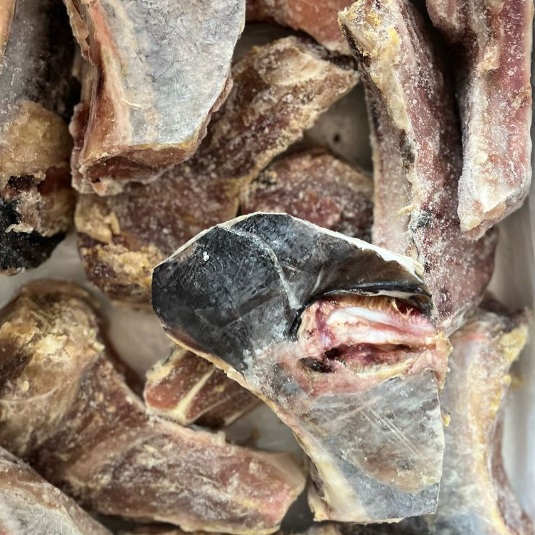 

Rahang Ikan Tuna / Kama Tuna