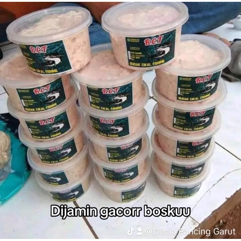 UMPAN GALATAMA LELE OTOT RACING Otot sapi umpan juara