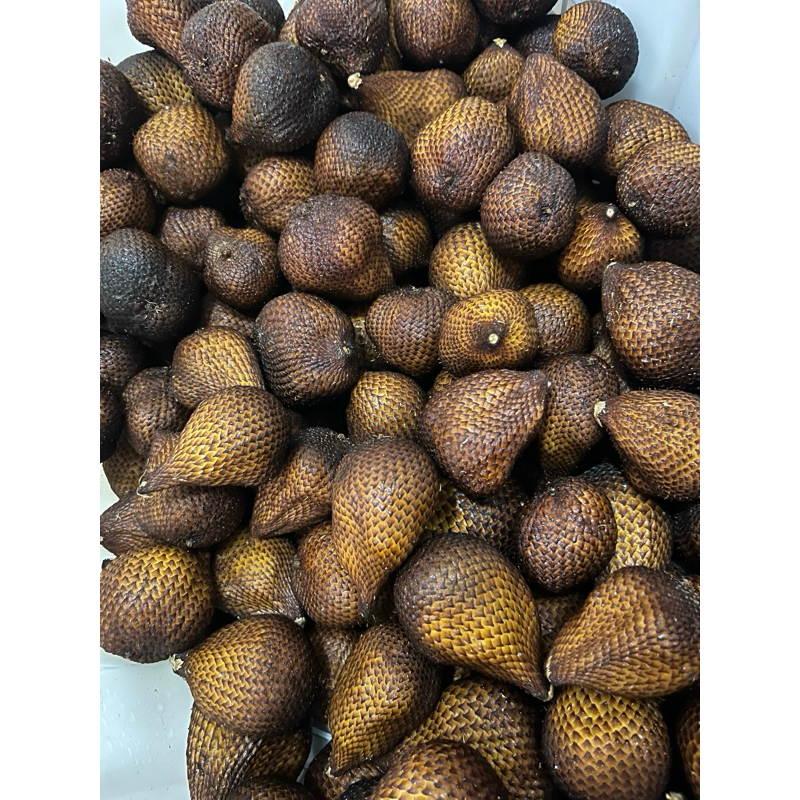 

Salak Bali Gula Pasir