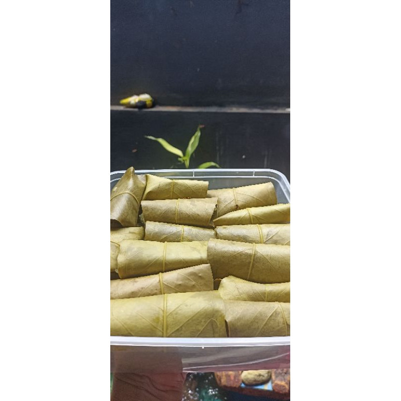 

Tape ketan daun jambu 30 bungkus