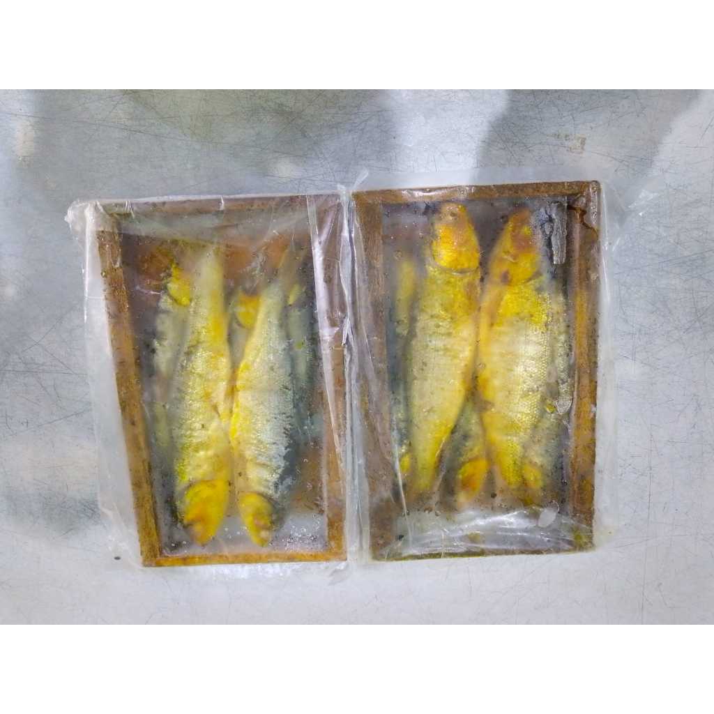 

Bandeng Juwono Pati Presto