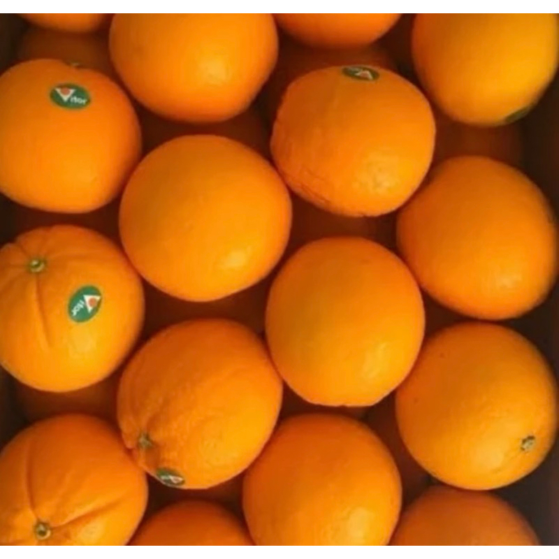 

Jeruk Sunkist / Navel / Valencia- 500gram