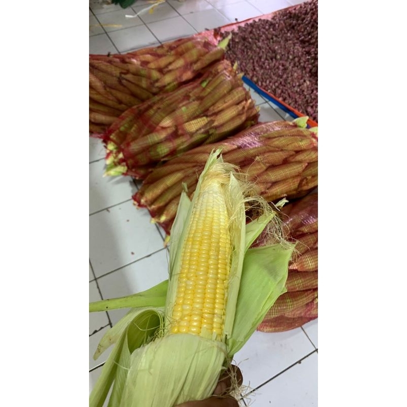

Jagung manis kupas