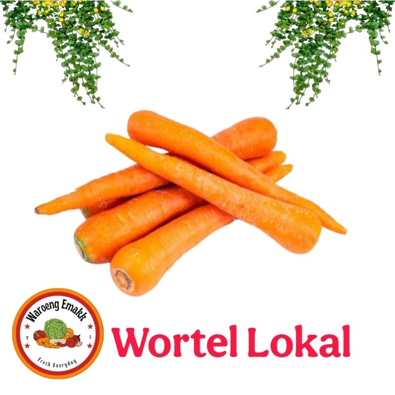 

WORTEL LOKAL