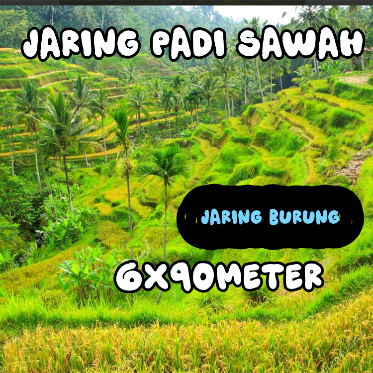 JARING PENUTUP PADI / JARING BURUNG SAWAH / JARING PIPIT / JARING EMPRIT / JARING PADI / JARING SAWA