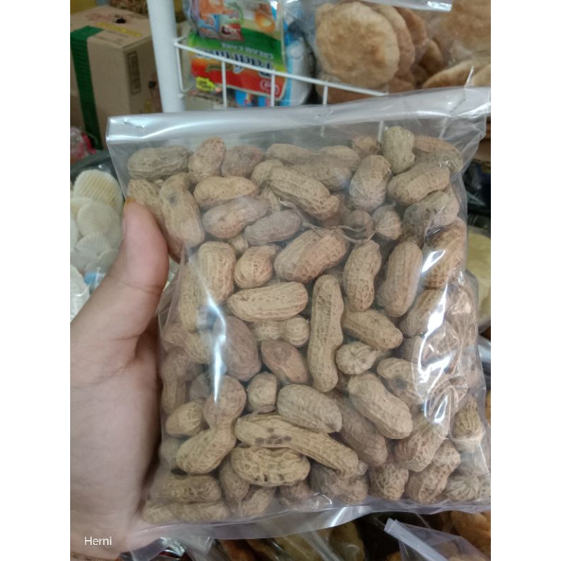 

kacang tanah