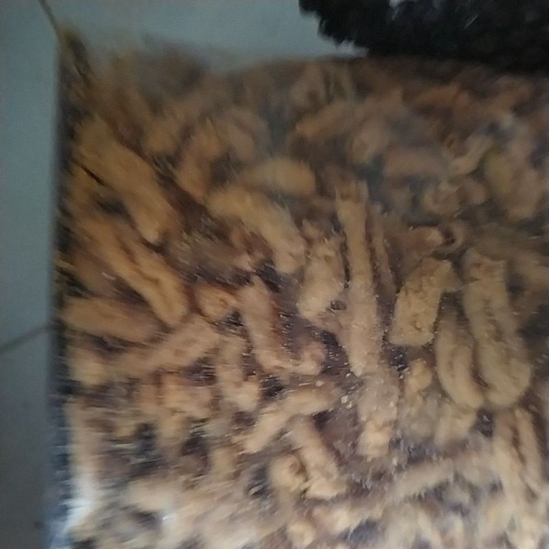 

keripik usus krispi