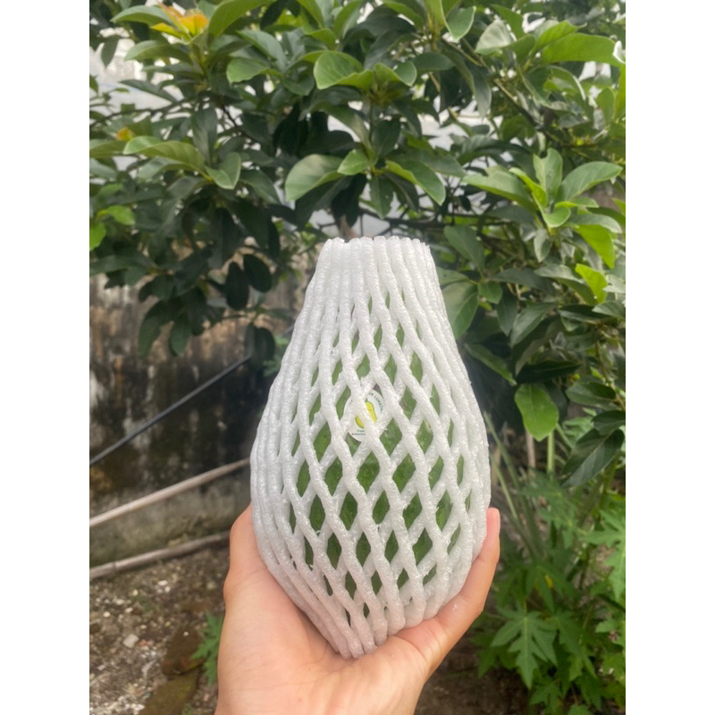 

Alpukat Mentega Aligator, ukuran 800gram,alpukat super