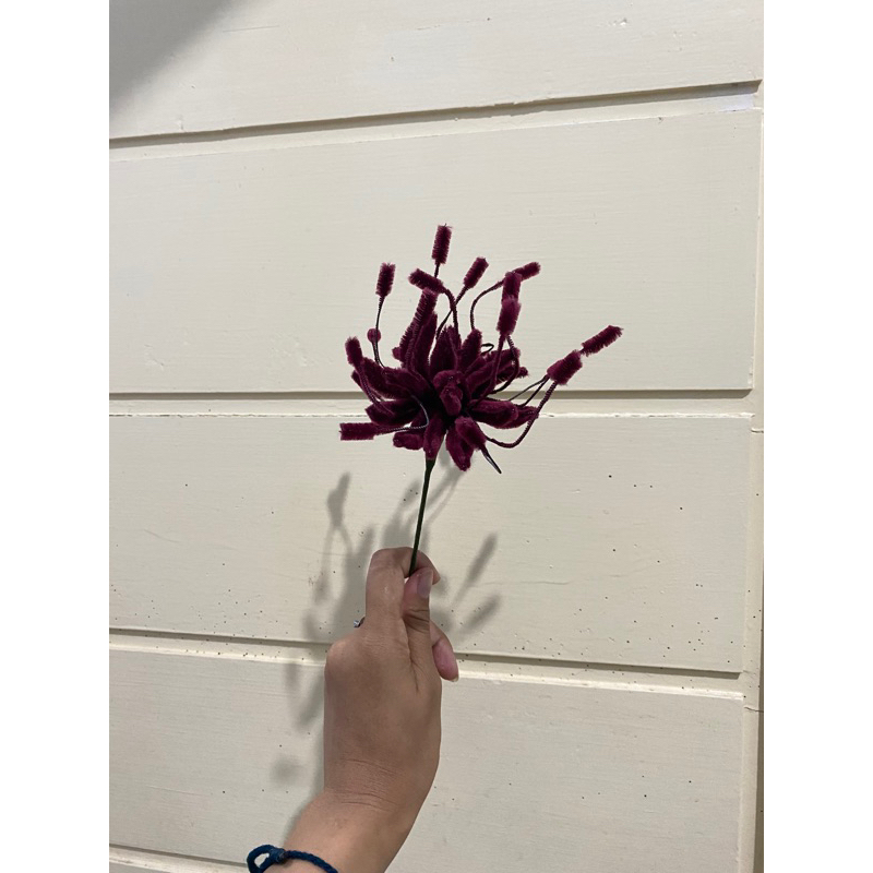 spider lily maroon