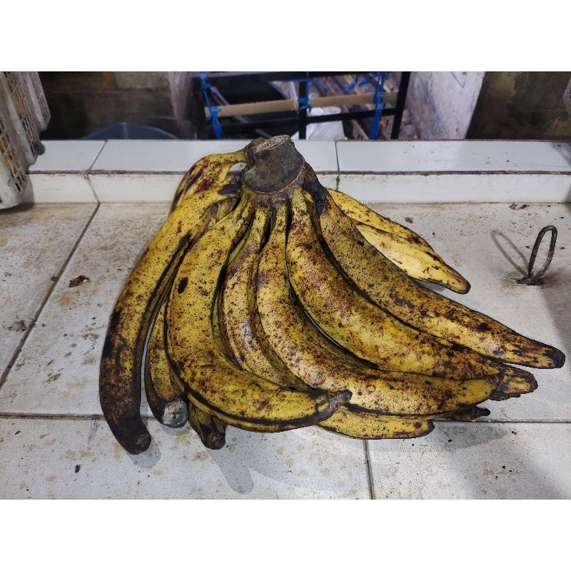 

Pisang Tanduk premium|| Harga per 1 kg dan per 1 biji || GrosirTani.id