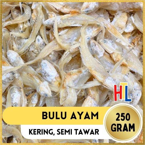 

Ikan Asin | Bulu Ayam Super Premium 250g