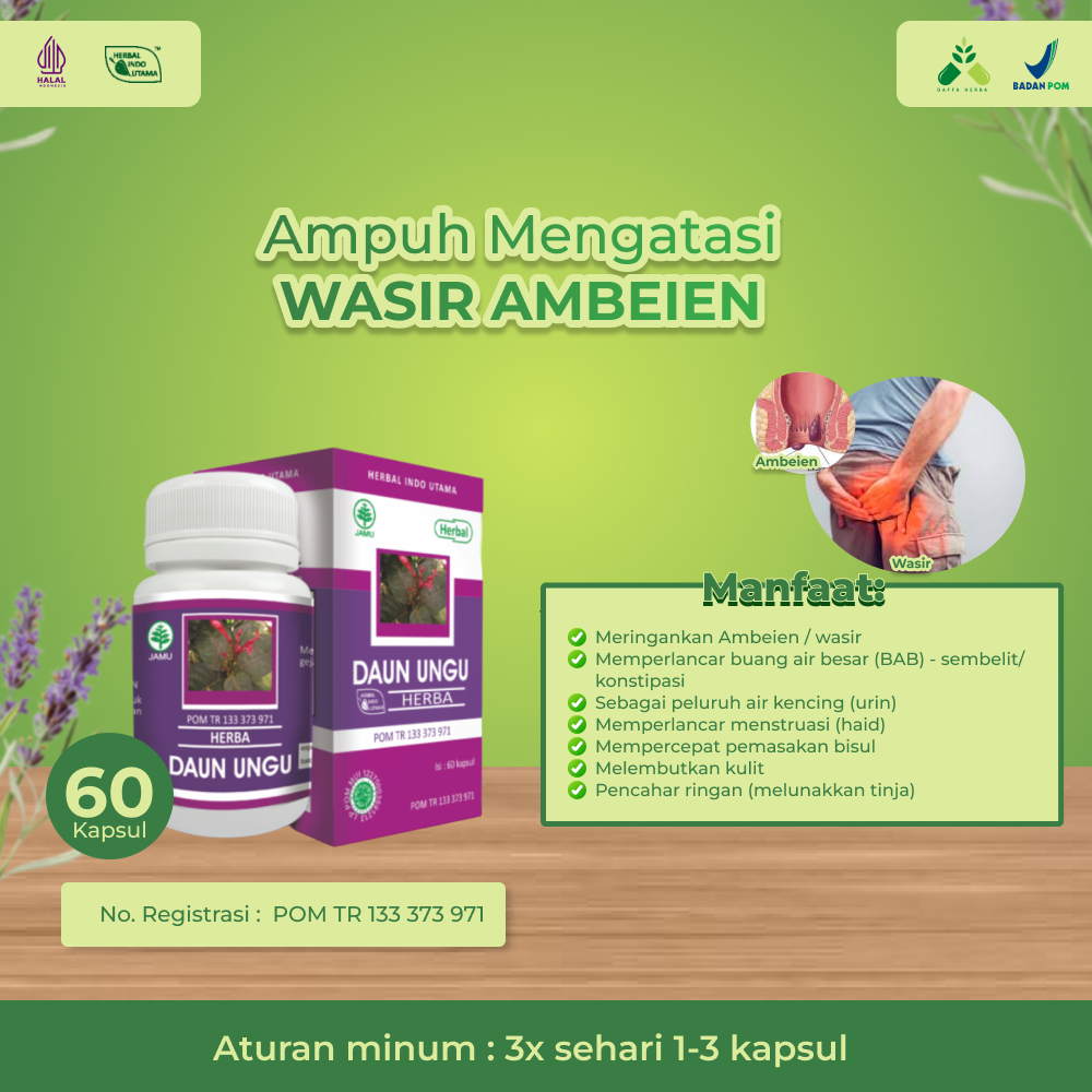 Kapsul Daun Ungu Herbal Paling Ampuh Untuk Ambeien dan Wasir