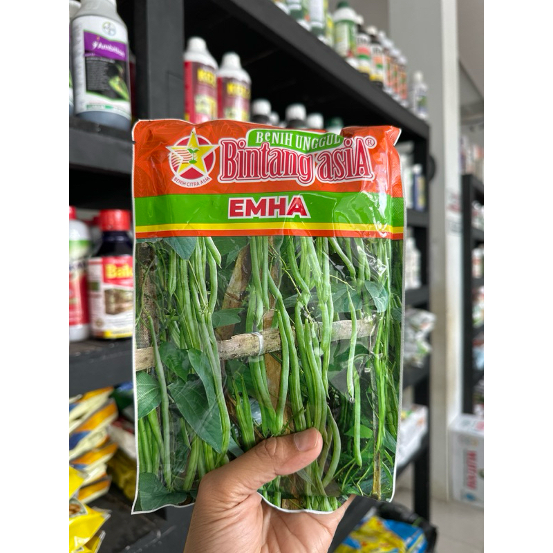 

Benih Buncis Emha 500 gr