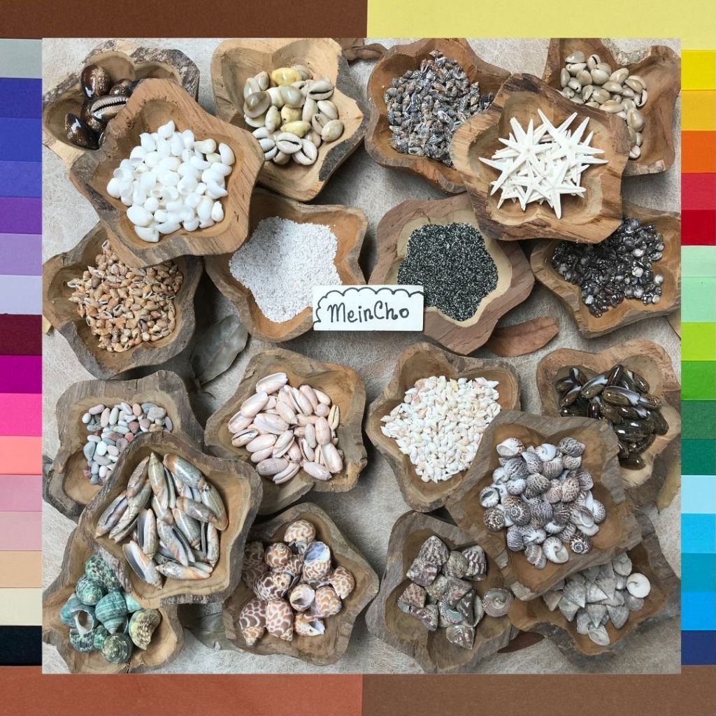 (100gr) Kolase Aneka Cangkang Kerang Laut Keong Hiasan Akuarium Aneka Bahan Kerajinan Tangan Dakon