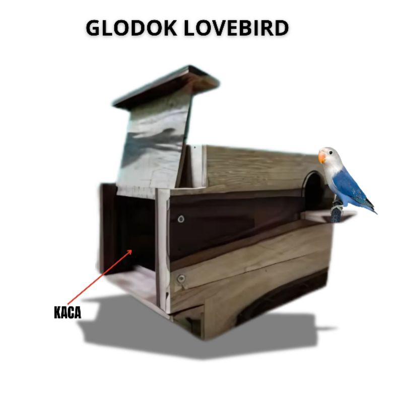 GLODOK LOVEBIRD GLODOK BURUNG PARKIT GLODOK BURUNG BENTUK RUMAH