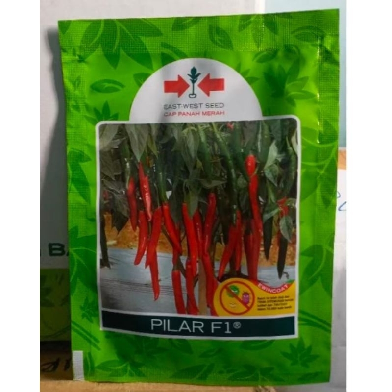 benih cabe besar PILAR F1